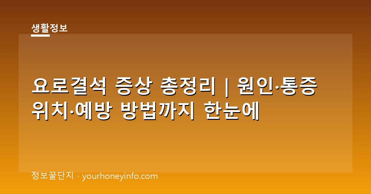 요로결석 증상 총정리｜원인·통증 위치·예방 방법까지 한눈에