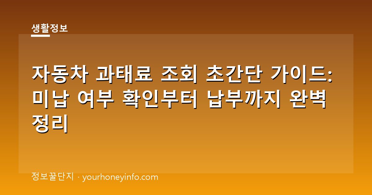 자동차 과태료 조회 초간단 가이드: 미납 여부 확인부터 납부까지 완벽 정리